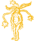 alraun.gif